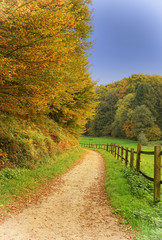Fototapeta na wymiar Herbstlicher Wanderweg im Bergischen Land, Odenthal, Deutschland