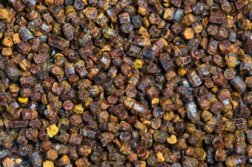 Propolis granules texture, bee product