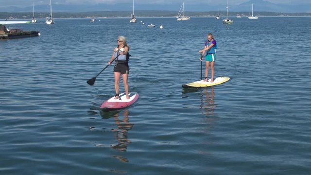 Four people standup paddleboarding