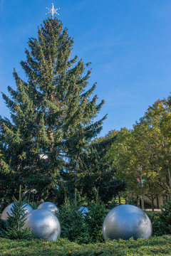 Christmas Tree In Chicago Park