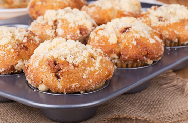 Closeup of Golden Brown Muffins in a Baking Pan