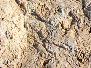 stone texture