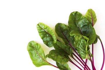 Beet leaves fresh on a white background