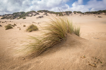 Piscinas beach dunes and waves in Green coast, west Sardinia, Italy
