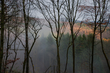 Fog November Landscape Siegerland