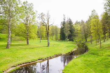 Fototapeta na wymiar Spring nature in the Park with brook