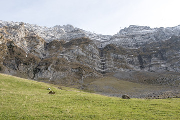 Beautiful view of valley mountain Saentis, Switzerland