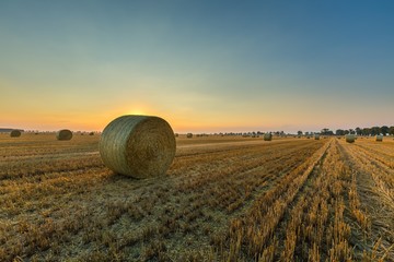 Summer landscape with stubble field