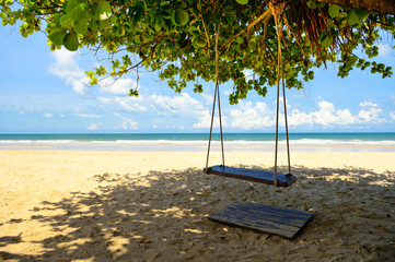 Swing hang on a tree beside the beach in Thailand