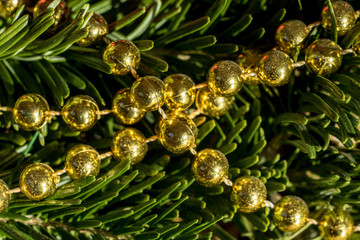 Closeup of golden Christmas chain on spruce needles I