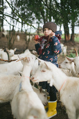 Little kids playing with goats on cheese farm outdoors
