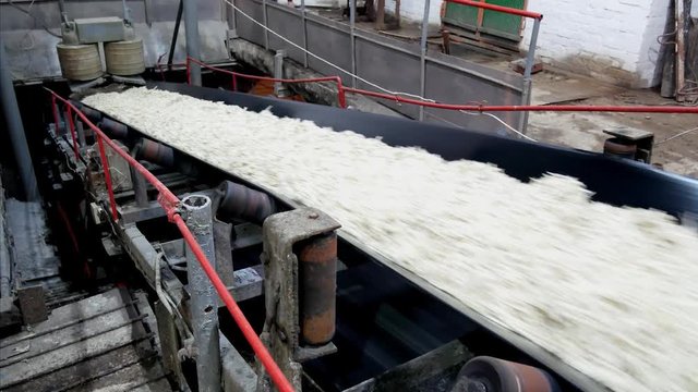 Sugar conveyor production line factory with cuting beets