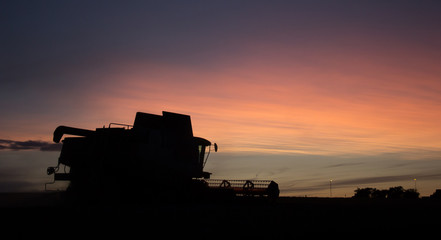 Fototapeta na wymiar combine harvester silhouette sunset