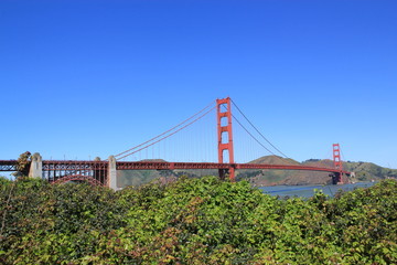View of Golden Gate Bridge from the Presidio Park, with greenery and blue sky