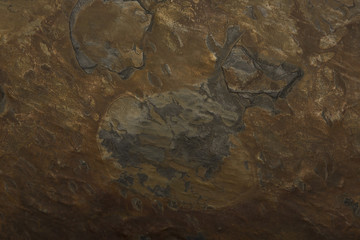 Background of stone natural.