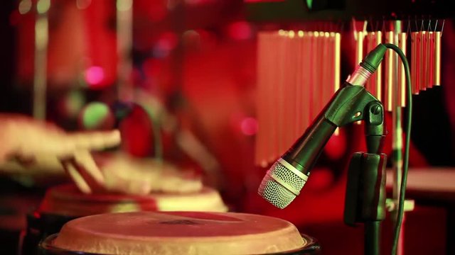 Percussion Music Instrument player