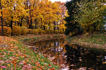 autumn landscape city Park © Seroma72