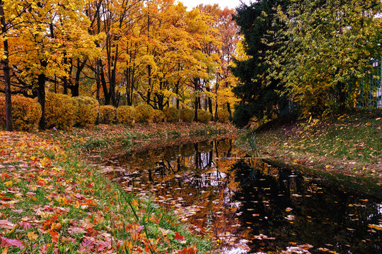 autumn landscape city Park