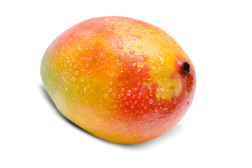 Mango isolated on white