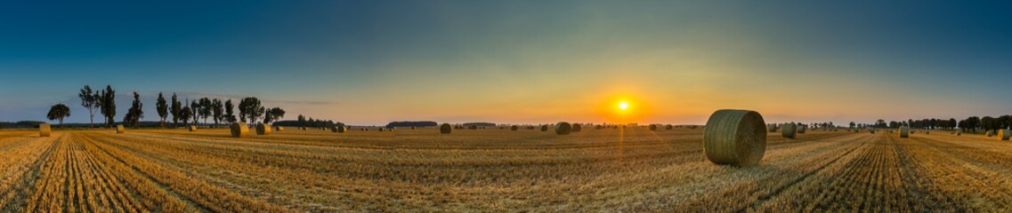 Summer landscape with stubble field