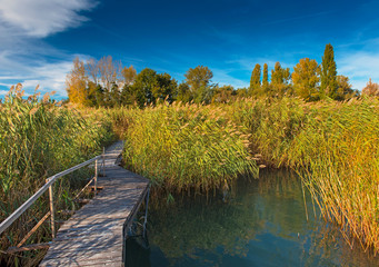Wooden pathway with reeds at lake Balaton