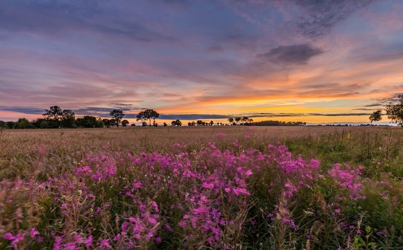 Beautiful spectacular sunset sky over meadows and fields