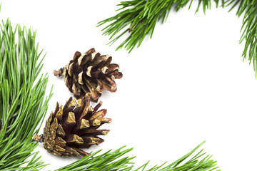 Fototapeta premium Leaves and pine cones for Christmas on white background