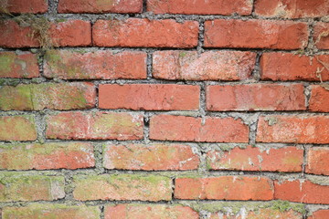 Obraz premium Steintextur