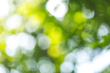 Obraz premium Colorful bokeh background