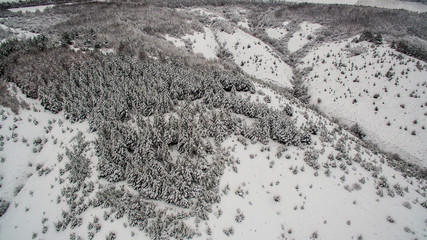 winter forest in the mountains. Aerial view landscape. shooting from a drone 