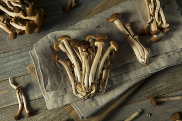 Raw Brown Pioppini Mushrooms