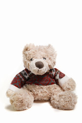Teddy bear isolated on white background