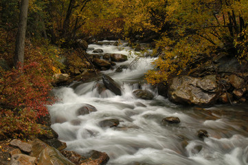 Bi Cotonwod Creek