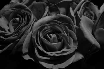 Black & white rose bouquet