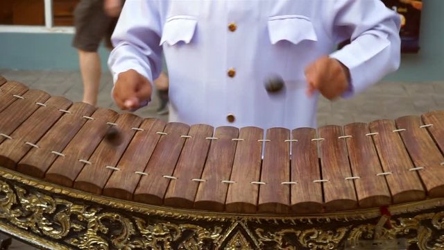 Musician playing the wooden thai gamelan
