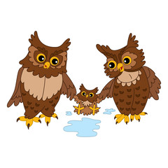 Vector Cute Cartoon Owls