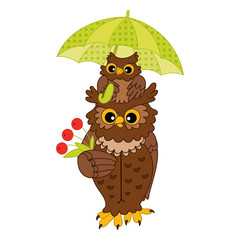 Vector Cute Cartoon Owls with Umbrella and Red Berries