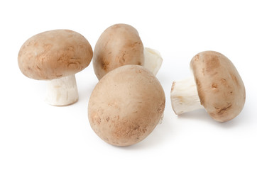 Braune Champignons