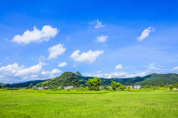 Fototapeta premium Beautiful countryside scenery in summer