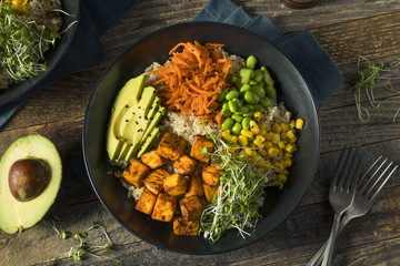 Healthy Organic Tofu and Rice Buddha Bowl