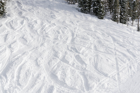Ski and snowboard free ride tracks in powder snow. Winter season