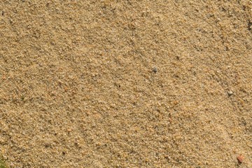 Background of sand grains in big xlose up