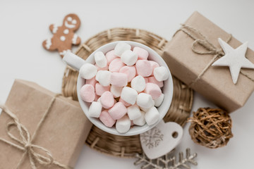 Christmas holidsys decorations