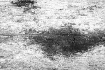 Old wood texture background. Floor surface