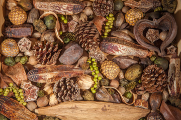 Christmas potpourri background. Traditional decoration of pinecones nuts and berries