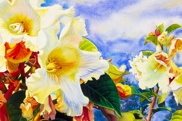 Watercolor landscape paintings colorful of Herald trumpet flowers