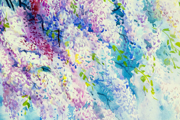 Abstract watercolor wisteria flowers.