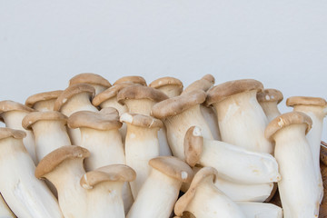 Fresh origin mushroom for healthy. origin mushroom ,thai food