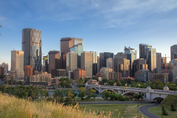 Obraz premium Calgary skyline on a summer evening