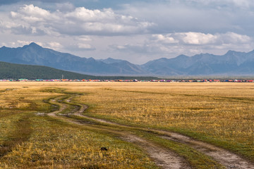 Automobile track in the Mongolian steppe